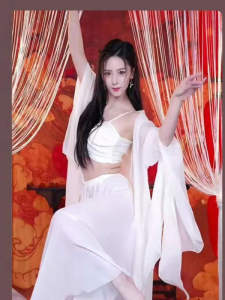 Elegant Long Classical Dance Costume Womens Fairy Atmosphere Drifting Shawl Performance Outfit Outerwear Dance Top