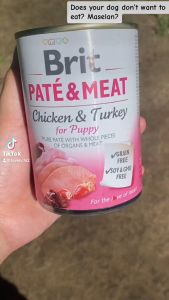 BRIT Dog Essentials PATE and Meat Grain Free Can Dog Food 400g