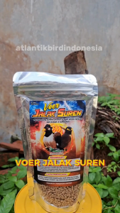 Voer Pakan Jalak Suren Penggacor burung Makanan pakan burung jalak suren