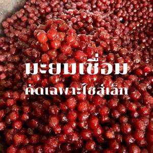 มะยมเชื่อม ไซส์เล็ก พร้อมส่ง 1 กิโลกรัม มะยมเชื่อมสูตรโบราณ