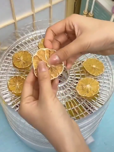 Food Dehydrator 220V 5 Layers Automatic Electric Food Dryer Household Dried Fruit Machine Fruit Vegetable Meat Food Dehydrator