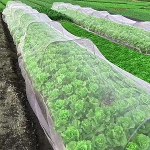 Garden Plant Insect Netting Vegetable Flower and Fruit Care Cover Netting Pest Control Bird-proof 60 Mesh Protective Netting