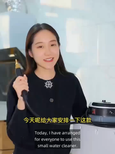 2500W high-temperature and high-pressure steam cleaning machine air conditioner/kitchen oil stain household/commercial cleaner