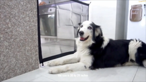 HATELI Cổng rào cho chó cửa cầu thang cổng thú cưng cho nhà mèo chó lưới chắn cửa cầu thang an toàn trong nhà