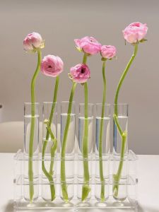 Glass Flower Vase Set Living Room Decorations Table Top Accessories Green Ivy Water Cultivation Bottle Popular Internet Style