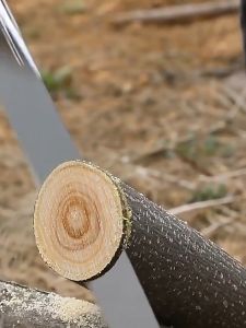 GERGAJI KAYU LIPAT PORTABLE PERKAKAS MATA PISAU 240MM