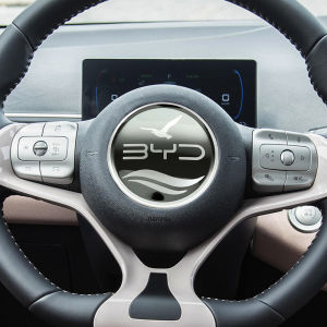 ป้ายโลโก้ BYD Metal สำหรับตกแต่งแผงควบคุมรถสัตว์น้ำพิมพ์ลาย Seabass Dolphin Seal Eagle E2 โลโก้รถยนต์ อุปกรณ์เสริมรถยนต์