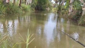 โดดติดปีกและเพชรบุรี1(ปรับโฉม) กบกระโดดสามเหลี่ยม กบกระโดดงานปลาช่อนชะโด กบกระโดดเพชรบุรี กบกระโดดสับถี่ๆ กบกระโดดน้ำหนักดีตีไกล