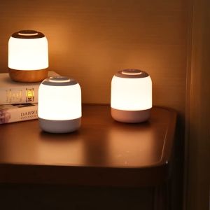 Vimite LED Night Light 3 Color Touch Dimmable  Eye Protection Desk Lamp Bedside Decoration Table Light for Night Lighting