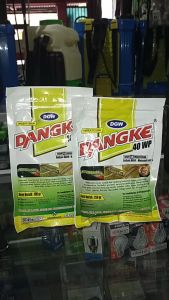 Insektisida DANGKE 40WP 100gram