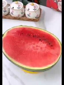 1PCS Watermelon Slicer Stainless Steel Watermelon Chunk Slicer Fast Safe Watermelon Knife Stainless Steel And Melon Cube Cutter