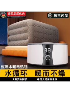 Water Heating Electric Blanket Dual Control Temperature Adjustment Home Use Heat Circulation Constant Temperature Mat 2025 New Model