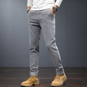 Quần Dài Công Sở Nam Thường Ngày Mùa Xuân Thu Quần Tây Lót Lông Cừu Mùa Đông Quần Dài Ống Đứng Cotton Polyester Co Giãn