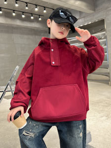 Thickened Fleece Hooded Sweatshirt for Boys Autumn Winter New Style Warm Clothing Korean Style Kids New Year Visit Topwear