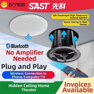 Sast | SAST Wireless Bluetooth Ceiling Speaker Home Cinema Embedded Loudspeaker Shop Use 310 Virtual Surround Sound ABS Shell