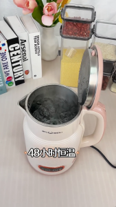 SG【ReadyStock】WEILI Electric Kettle Instant Hot Temperature Control Safety Lock Overheat Protection Cordless Design Removable Filter Borosilicate Glass