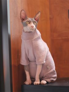 Sphinx Hairless Cat Winter Clothes Thick Warm German Cat Four Legs Clothes Belly Protection Anti-Loss High Elasticity Pet Supplies