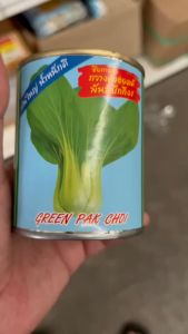 ปลาทอง กวางตุ้งฮ่องเต้ ปักกิ่ง 11/69 ขนาด 80 กรัม ลอตใหม่ งอกดี กวางตุ้ง ต้นใหญ่ ทรงสวย แข็งแรง โตไว น้ำหนักดี ระยะเก็บเกี่ยว 35 วัน