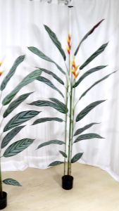 Tanaman Hias Daun Plastik & Ornamen Dekorasi Rumah