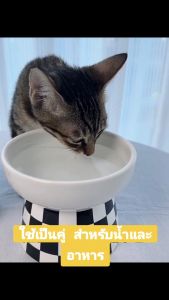 ชามแมว ชามอาหารหมา สำหรับสัตว์เลี้ยง ทรงสูงไม่ปวดสังหลัง
