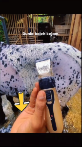Sumber Mesin Cukur Domba Kambing Kucing Baorun Pro Alat Cukur Domba / Pencukur Bulu Kucing Hewan cas