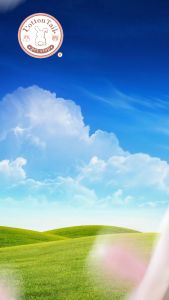 TOPI BANDO KOSTUM KUCING / TOPI LUCU KUCING BANDO 3