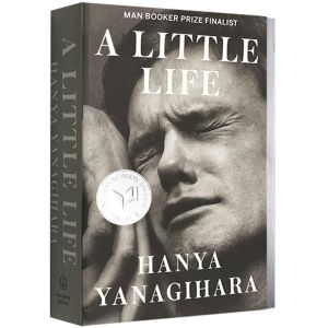 A Little Life Paperback by Hanya Yanagihara Original English Books