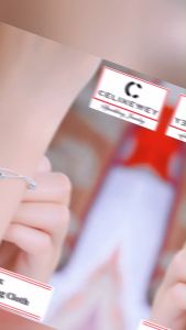 Celinewey 925 Silver Plated Jewelry Bling Happiness Sunflower Charm Bracelet Women Birthday Gift -154 Gelang Tangan