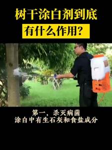 💗🙋‍♀️💗【厂家直销】20kg袋树木涂白剂果树苗木防冻防虫防啃咬大树干刷白