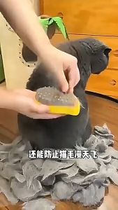Cat Dog Steamy Brush 3 in 1 Steam Brush Electric Sprayer Hair Removal Comb For Massage Pet Grooming Electric Sprays Massage Comb