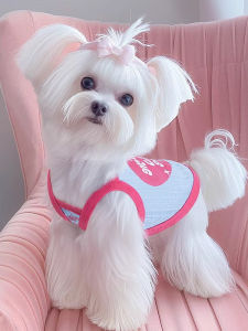 Pure Cotton Dog Vest Summer Spring Anti Shedding Yorkie Teddy Bichon Thin Strapless Doggie Tank Top Pet Clothes Casual Style