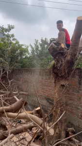 Máy Cưa Xích Chạy Xăng BOSHUN BS-CX16 Lam xích dài 16INCH Bơm nhớt tự động - Động cơ xăng 2 thì 58CC mạnh mẽ