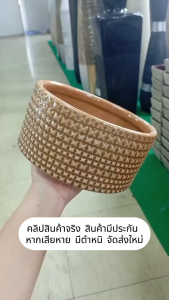 ถ้วย ชามเซรามิก 4/6/8 นิ้ว หลายแบบ หลากสี ถ้วยราคาถูก เข้าไมโครเวฟได้