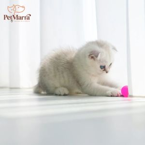 PetMarra Tuna Milky Souffles Kitten Wet Food Pouch 80g