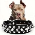 Adjustable Leather Pet Dog collar Neck Strap Supplies PU Leather Punk Rivet Spiked Dog Collar Pet Collars For Small Dog Cat. 