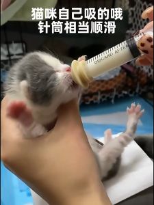 เสริมความสวยคลุมกับผู้ชาย จุกป้อนนมสัตว์เลี้ยง ไซริงค์ป้อนม, จุกป้อนนมแมว กระรอก, ชูก้า กระต่าย ส่งด้วยความพร้อมที่คุณค่า