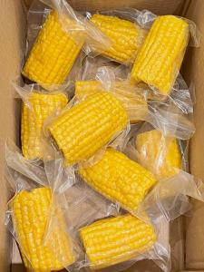 Stick Jiji KFC Same Style Corn Sweet Corncob Ready to Be Served Fruit Corn Yellow Corn Segment Snacks