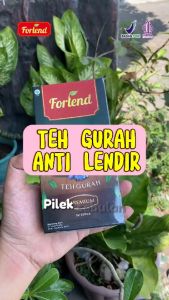 [BPOM RESMI] Teh Forlend - Teh Gurah Atasi Batuk Pilek Asma Sinusitis Dahak dan Lendir