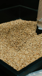 Coffee Dosing Tray Mangkok Takar Biji Kopi Keramik OX40