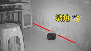 [Local Seller] Concealed Mouse and Rat Trap Clip Peg (Black) No Food Bait Provided