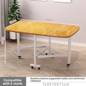 MOLORE | Portable Folding Table and Chair Compact Foldable Furniture