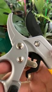 **มีรุ่นเทียบให้เลือกสำหรับราคาถูก** กรรไกรตัดกิ่ง  กรรไกรตัดกิ่งไม้ กรรไกรตัดกิ่ง sk5 กันไกรตัดกิ่ง pruning shears คีมตัดกิ่งไม้ ครีมตัดกิ่งไม้ 3 จังหวะ โซโล No.3130-8”