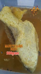 [FadliMaliki] Set Madu Tualang Asli & Tualang Bukit Hutan Liar Raw Honey - 500gram Setiap Botol