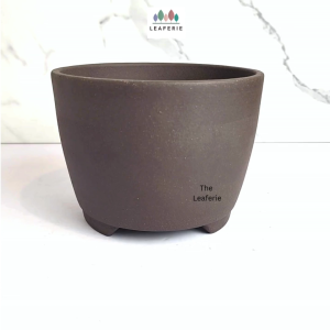 The Leaferie Bonsai Reimi (Series 2) plant pots flowerpot purple Sand flowerpots . flower pot
