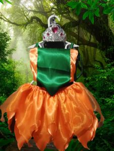 costume kids girl (set) with wand and crown in. random color satin fabric
