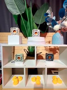 Mini Bluetooth Wireless Speaker Portable Transparent Mechanical Subwoofer Audio TF Card External For Birthday Gift DW12