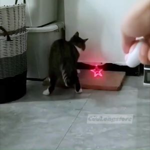 Đèn Pin Mini Trêu Chó Mèo Đa Năng Móc Khóa 3 chức năng Laser UV soi tiền giấy tờ chiếu sáng nhỏ gọn bỏ túi sạc pin