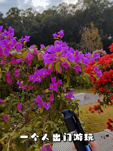 3in1 Tripod Selfie Stick ไม้เซลฟี่ ไม้กันสั่น ขาตั้งโทรศัพท์ ขาตั้งอเนกประสงค์ หมุนได้ 360 องศา พร้อมรีโมทบลูทูธ รองรับ iOS และ Android ไม้เซลฟี่มีไฟ