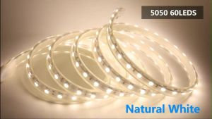 Lampu LED Strip Selang Tumblr SMD 5050 220V 5W IP65 Waterproof Harga Meteran