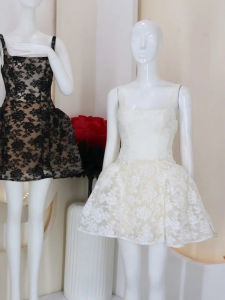 Elegant Lace Embroidery Waist-Cinching Slimming Party Dress
